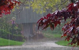 بارش‌های مطلوب در ابتدای پاییز