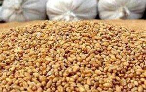 ثبت سفارش سیستمی نهاده دامی و روغن آغاز شد