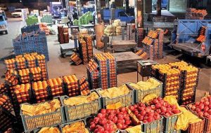 عرضه ۴۰ هزار تن میوه تنظیم بازاری شب عید