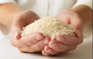 قیمت برنج درجه یک ایرانی کاهش یافت