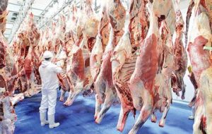 قیمت جدید گوشت اعلام شد/ خبر مهم دولت درباره میزان تغییر قیمت گوشت در بهار ۱۴۰۳