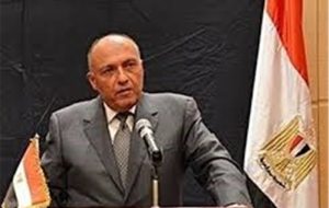 وزیر خارجه مصر پیام ایران را به رژیم اسرائیل رسانده است