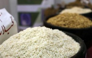 حداکثر نیاز سالانه به واردات برنج ۶۰۰ هزارتن است
