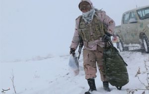 مرزبانی: فوت سپهر روشنی بر اثر سرمازدگی نبود